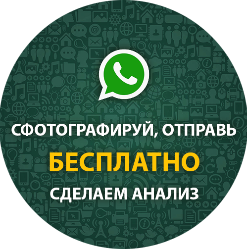 whatsapp hattı